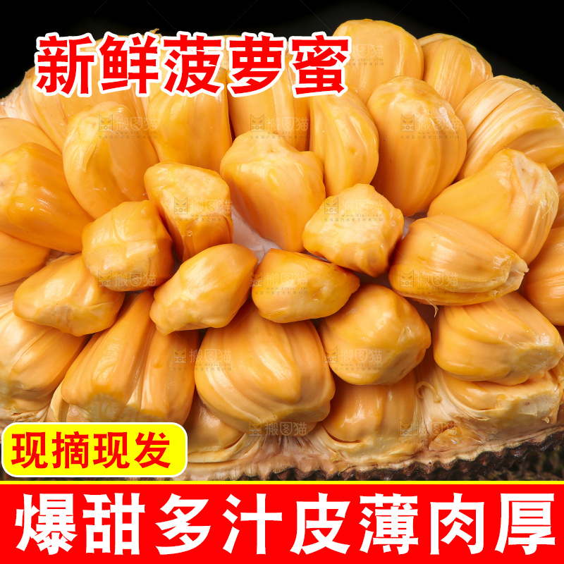 手里捧着红肉菠萝蜜