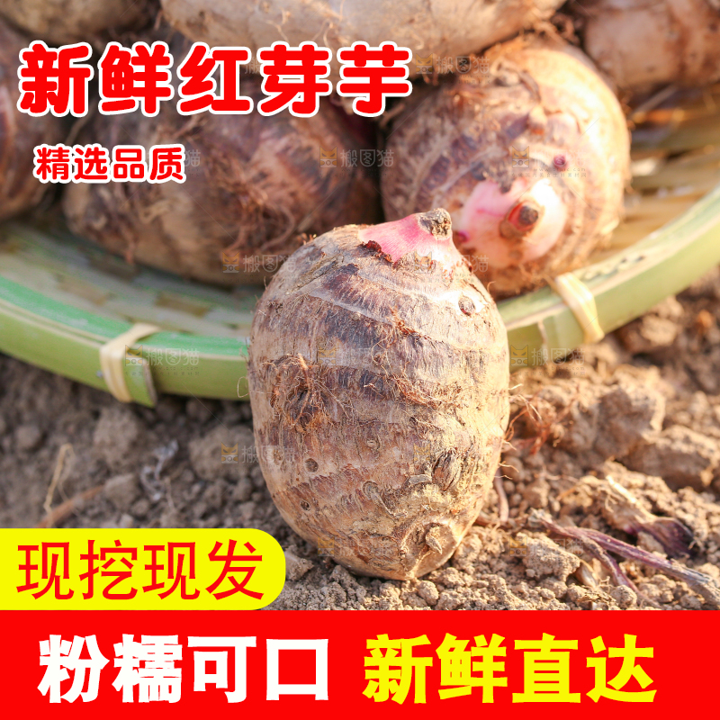 一篮红芽小芋头