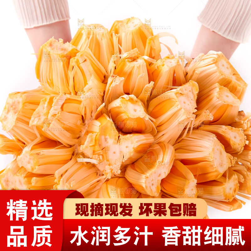 手里捧着红肉菠萝蜜