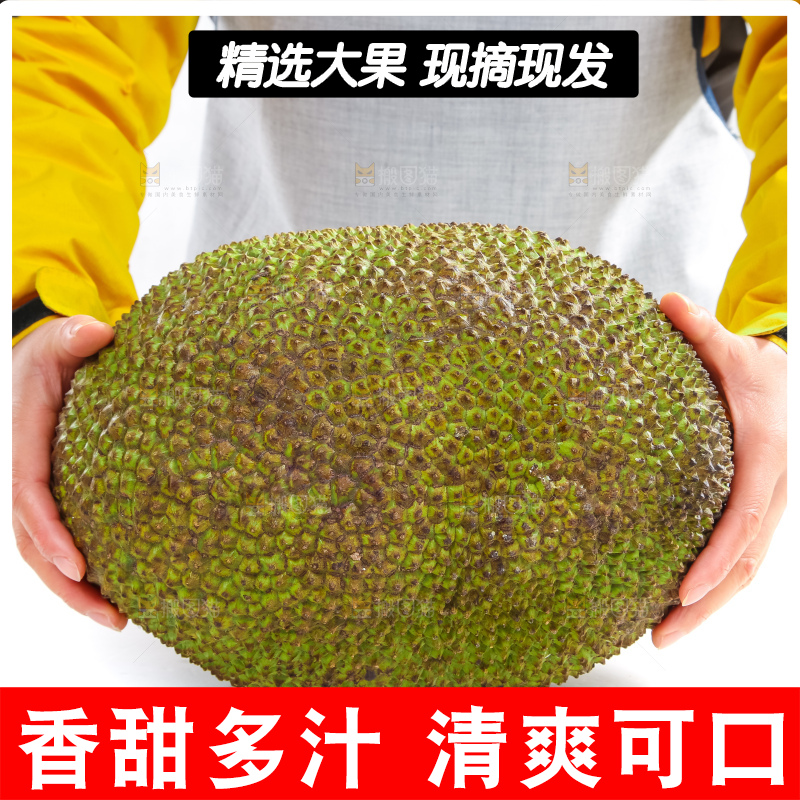 一个完整泰国菠萝蜜