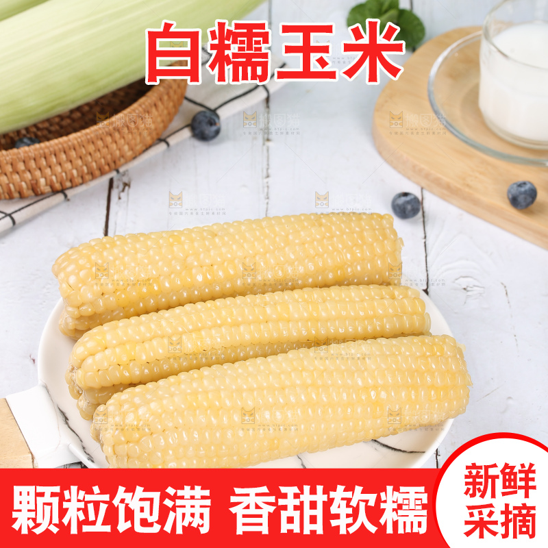 一盘东北白糯玉米