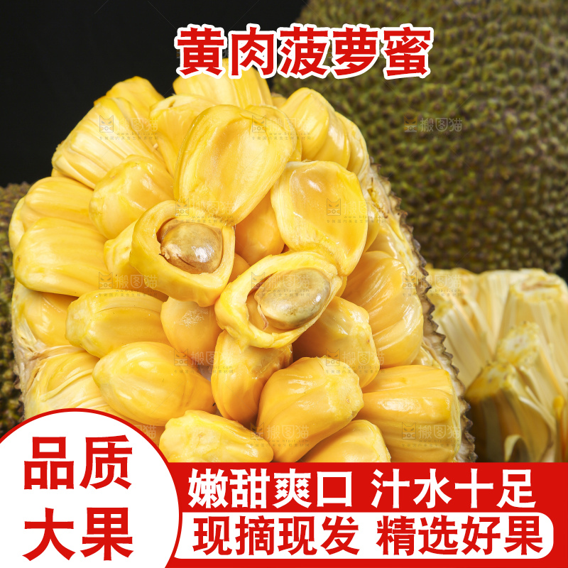 一堆黄肉菠萝蜜