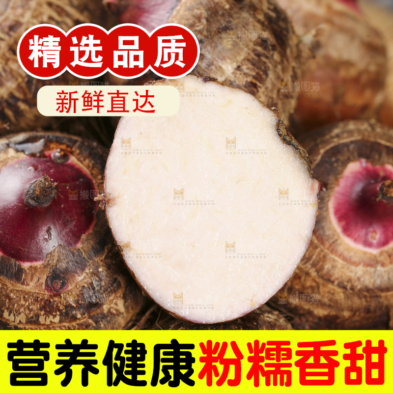 一堆广西红芽芋