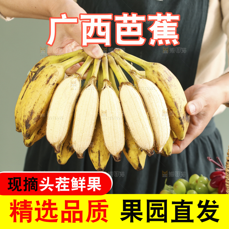 手里拿着广西芭蕉