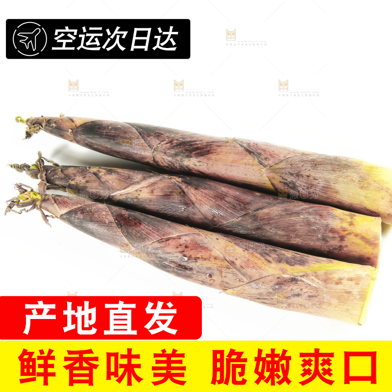 白底上摆放着春雷笋