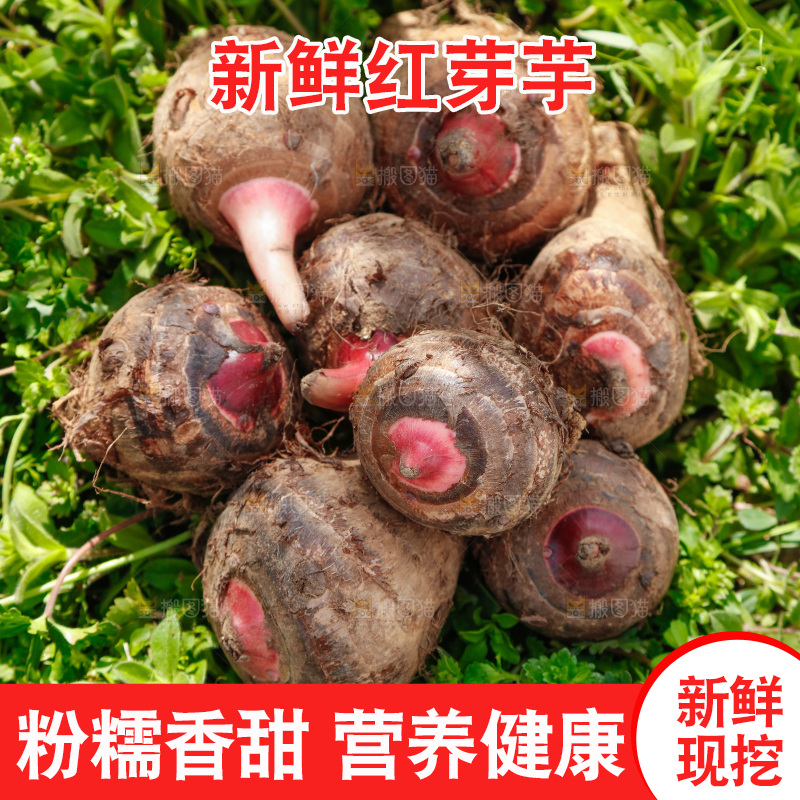一堆新鲜红芽小芋头