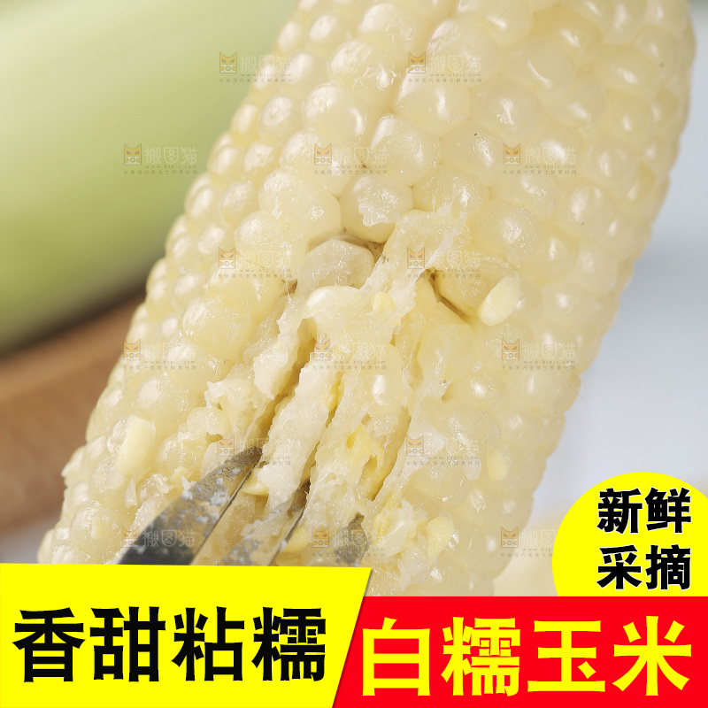 新鲜白糯玉米