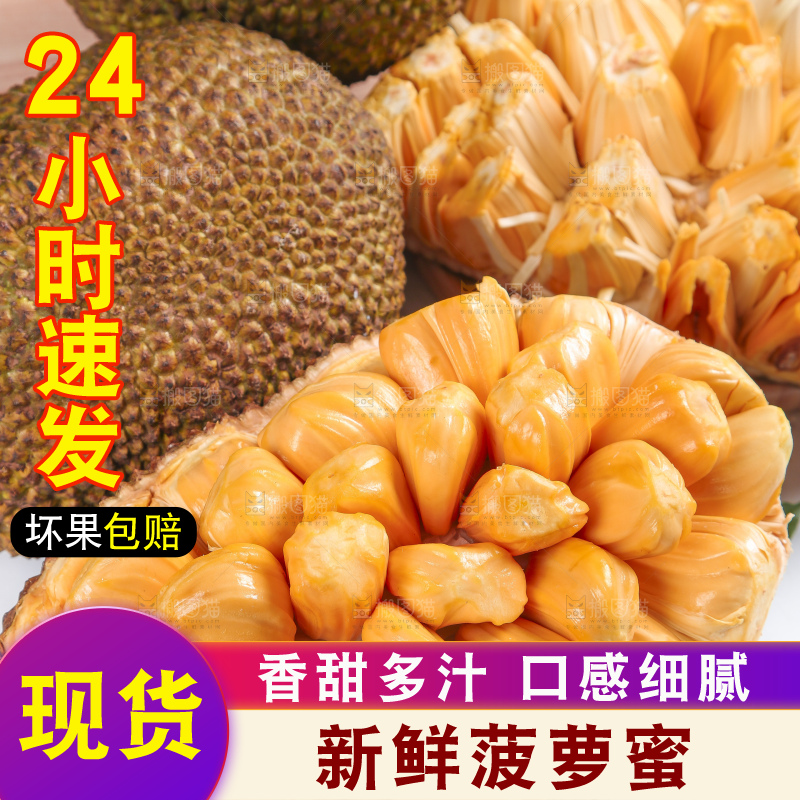 白底上放着新鲜红肉菠萝蜜