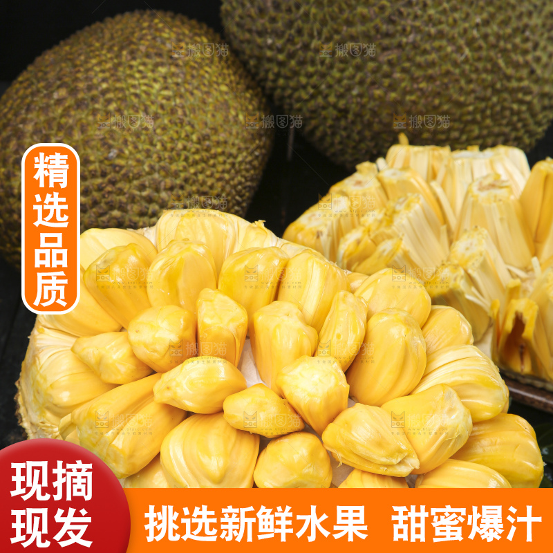 黑底上的黄肉菠萝蜜
