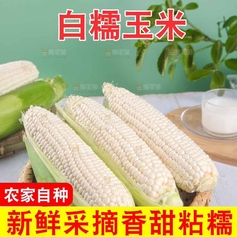 一篮新鲜白糯玉米