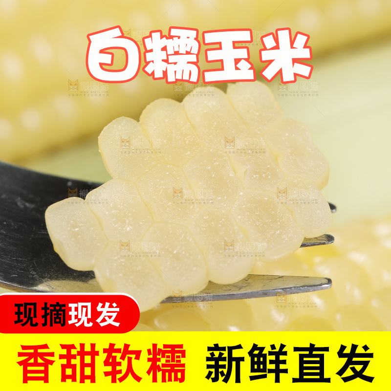 新鲜白糯玉米