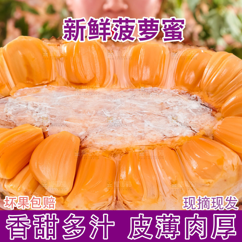 手里抱着进口红肉菠萝蜜