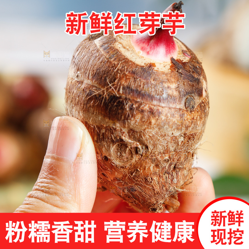 手里拿着红嘴芋头