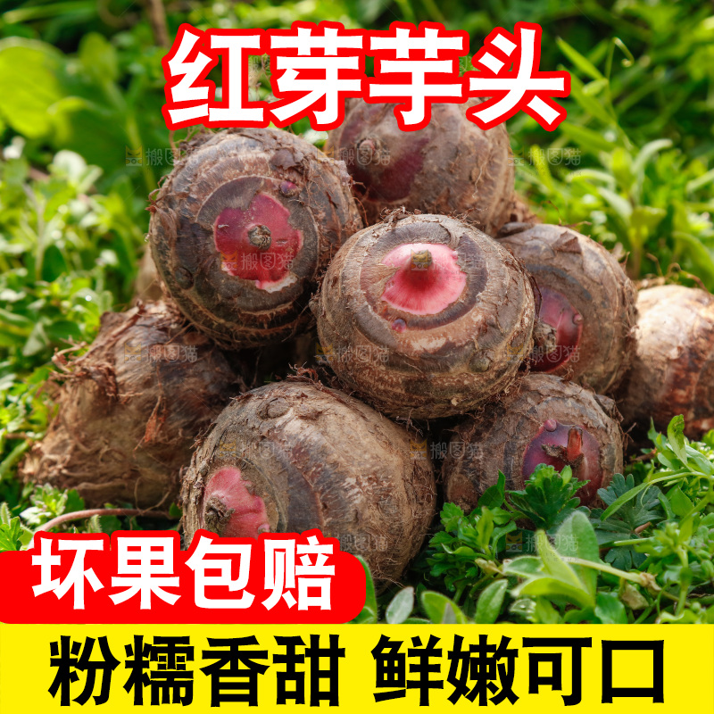 一堆新鲜红芽小芋头