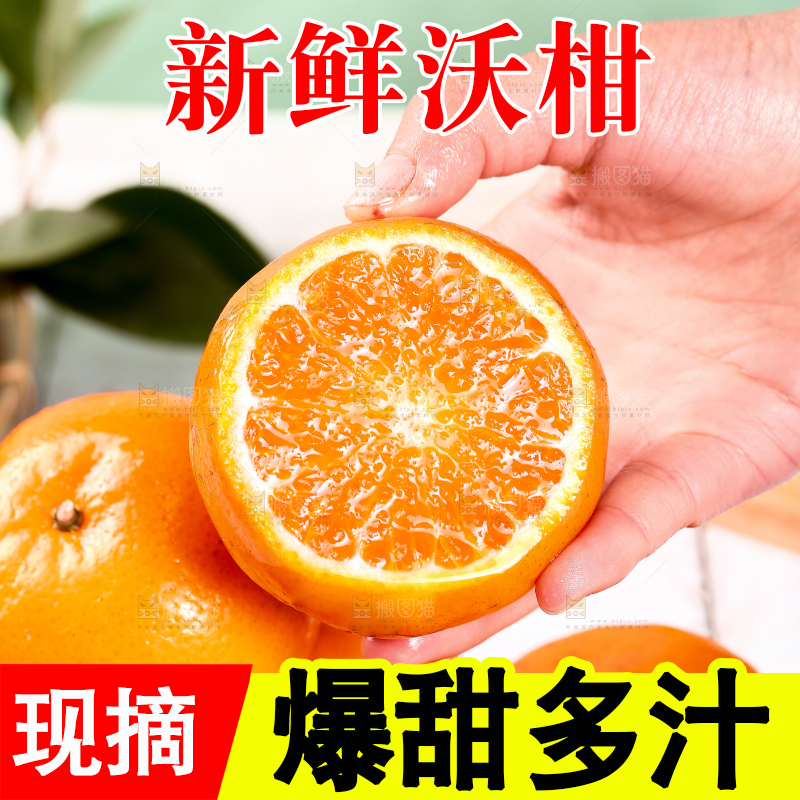 手里拿着切面的广西沃柑