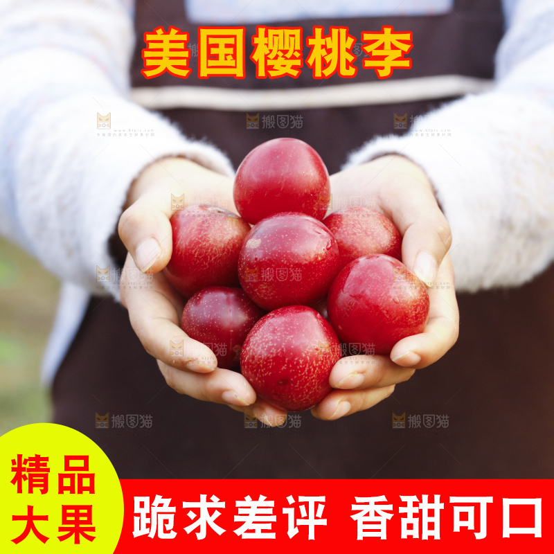 手里捧着进口樱桃李