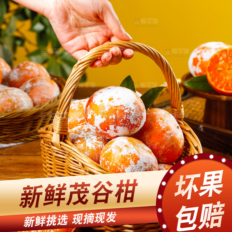 手里提着一篮新鲜茂谷柑