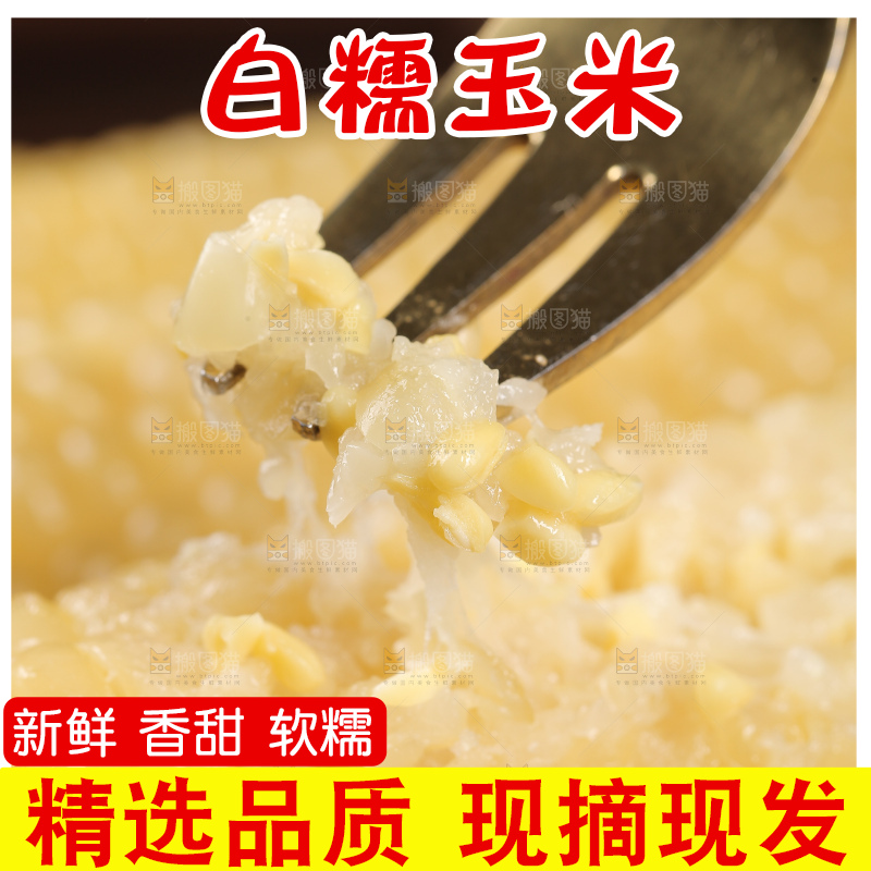 新鲜的甜糯玉米