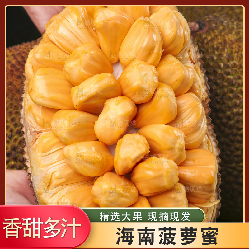 手里捧着红肉菠萝蜜