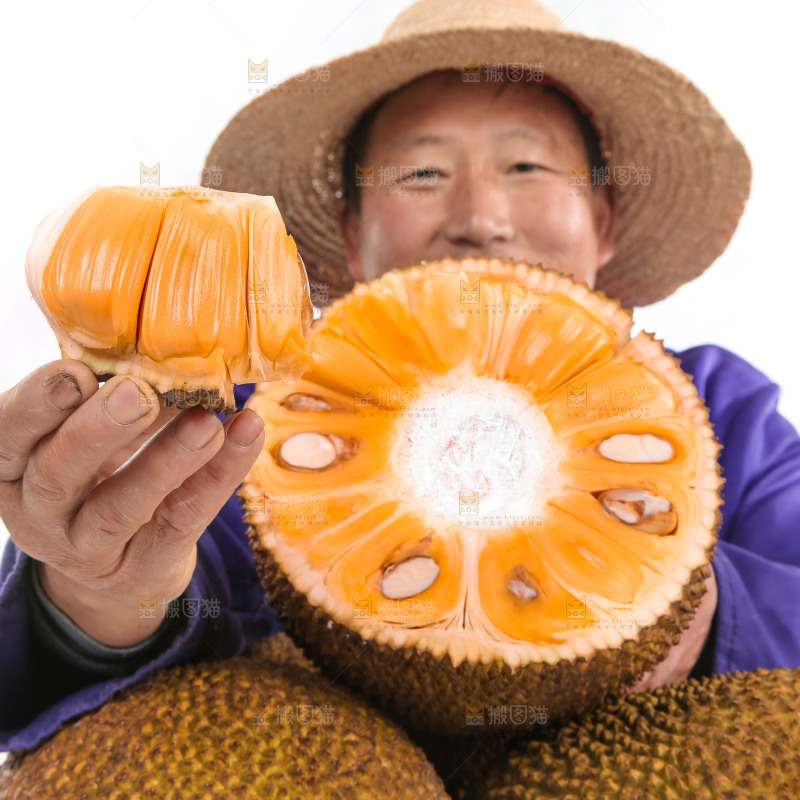 手里拿着红肉菠萝蜜