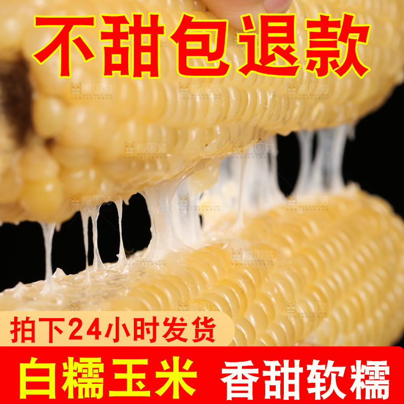 手里拿着白糯玉米棒
