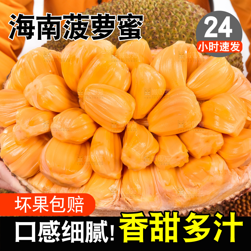 手里捧着红肉菠萝蜜