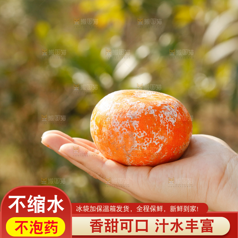 手里拿着脏脏柑