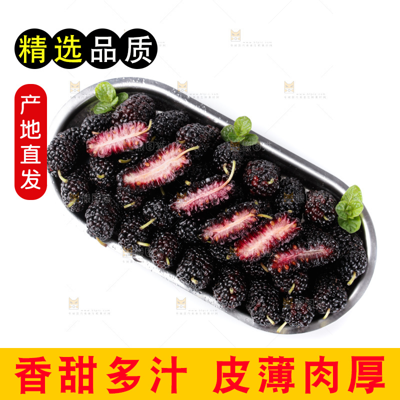 一盘桑葚