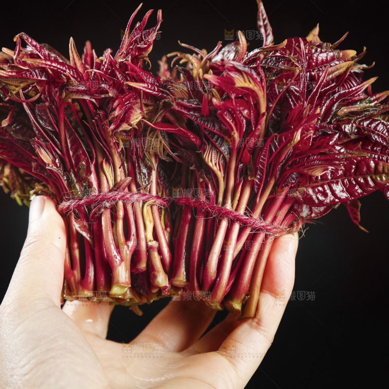 手里拿着香椿芽
