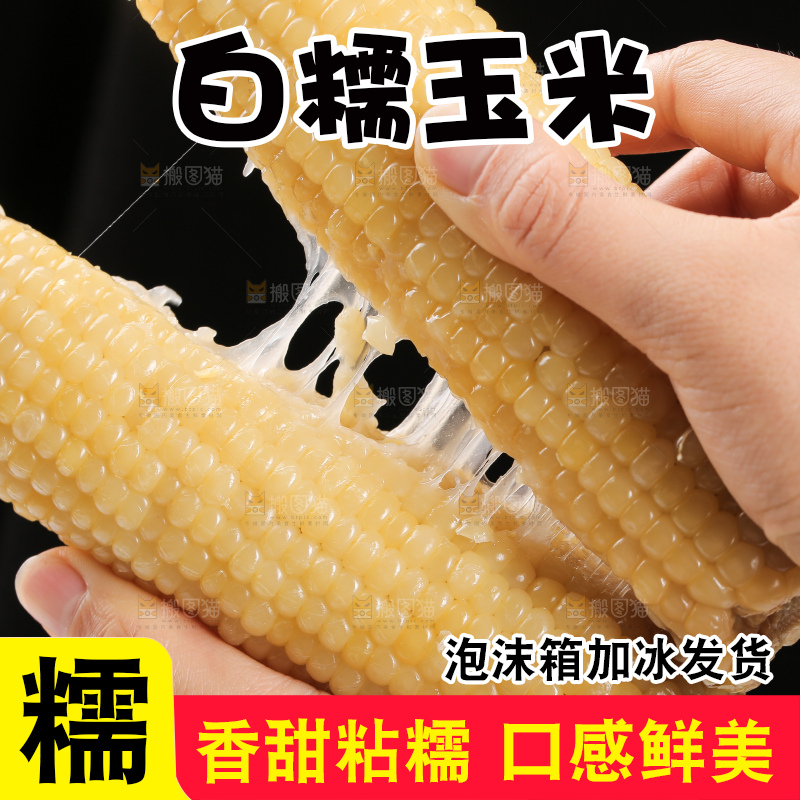手里拿着白糯玉米棒