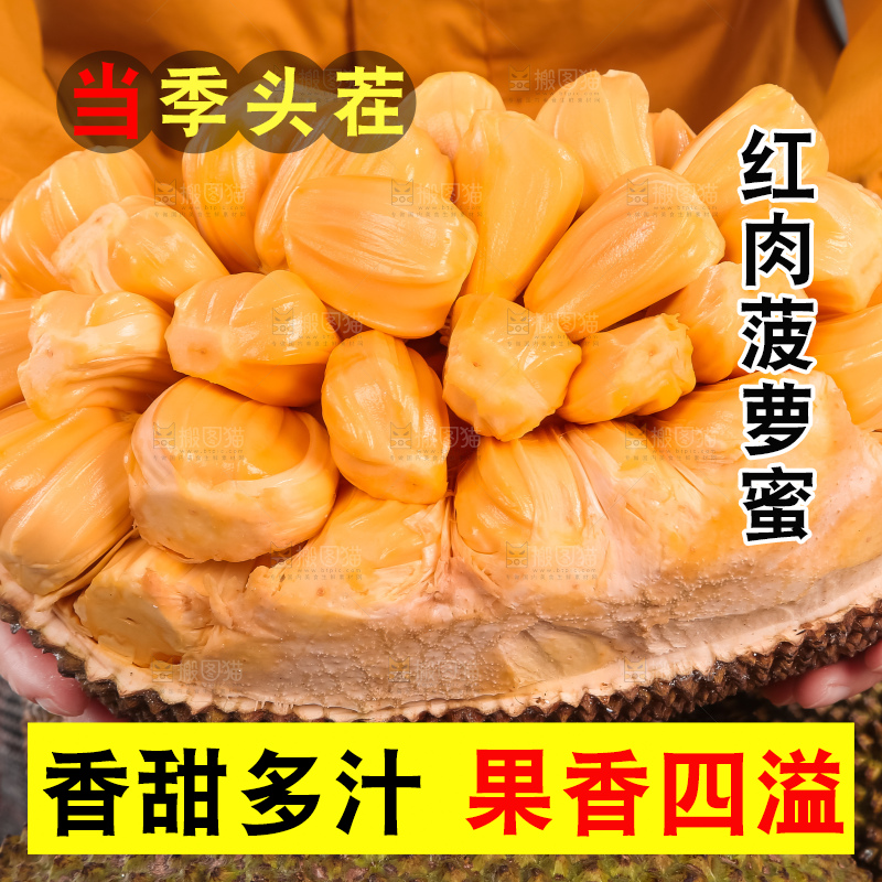 手里捧着红肉菠萝蜜
