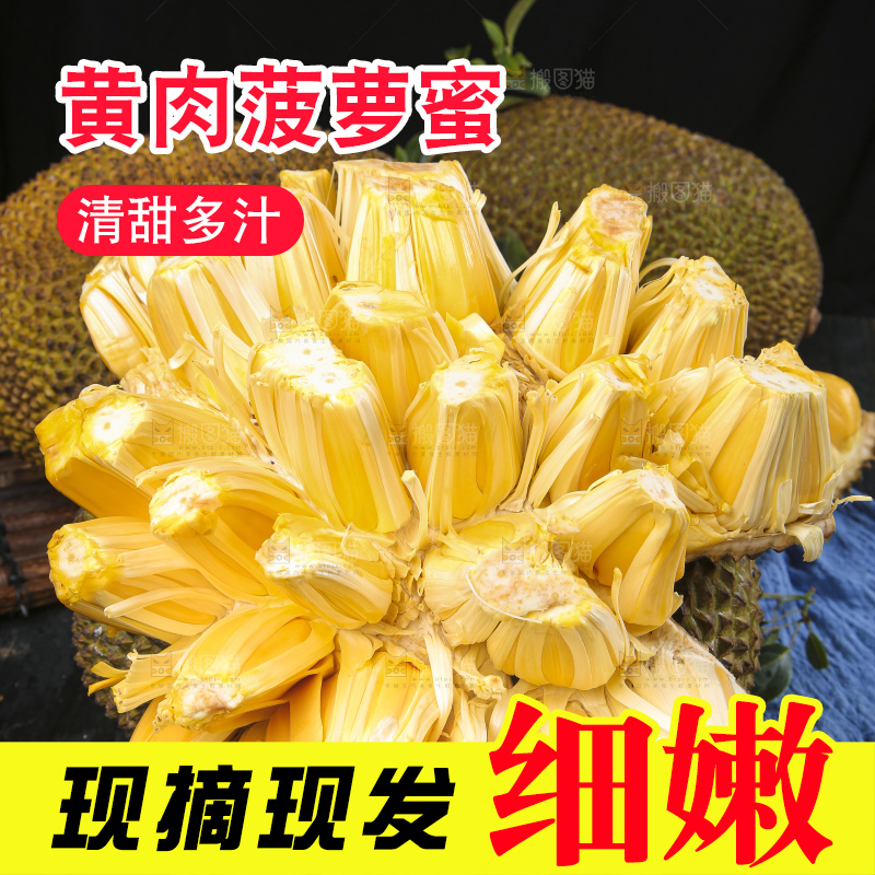 黑底上放着海南黄肉菠萝蜜