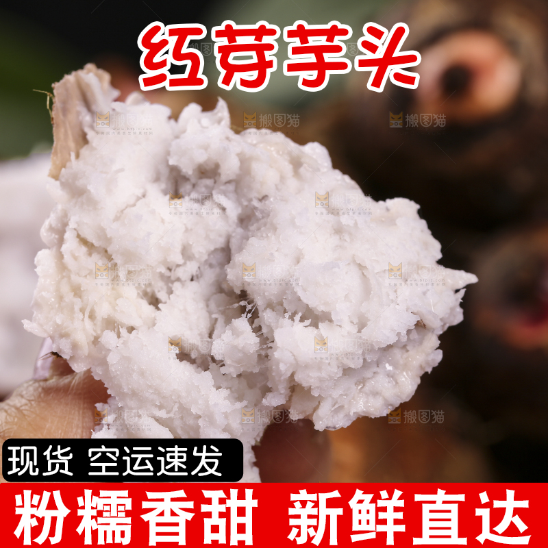 手里拿着熟的红芽芋泥