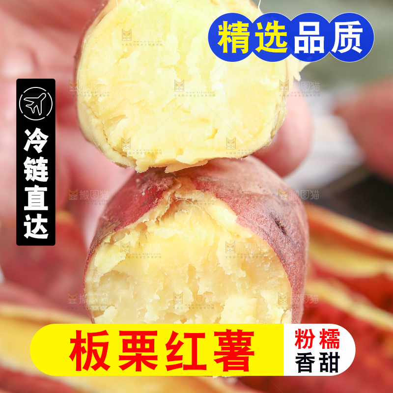 手里拿着黄心板栗红薯