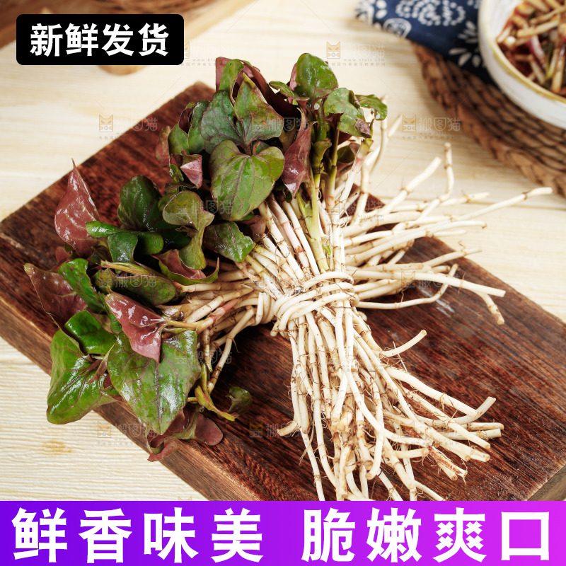 木底上放着新鲜折耳根