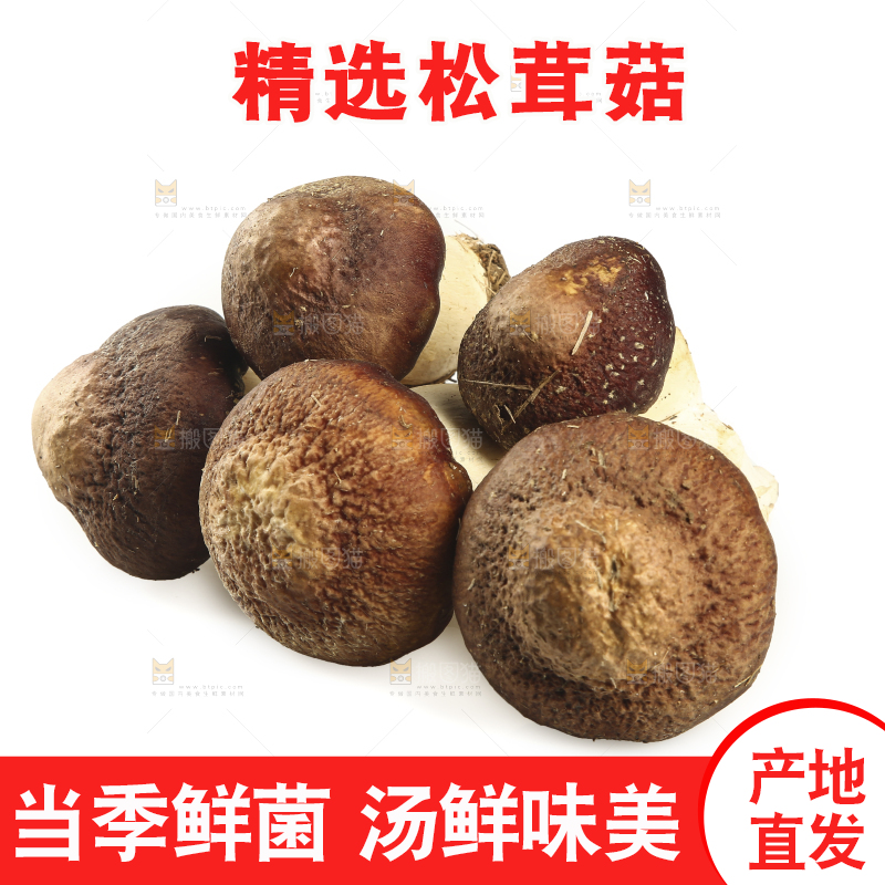 白底上放着松茸菇