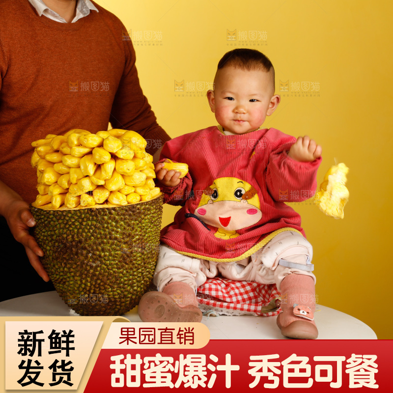 儿童和黄肉菠萝蜜