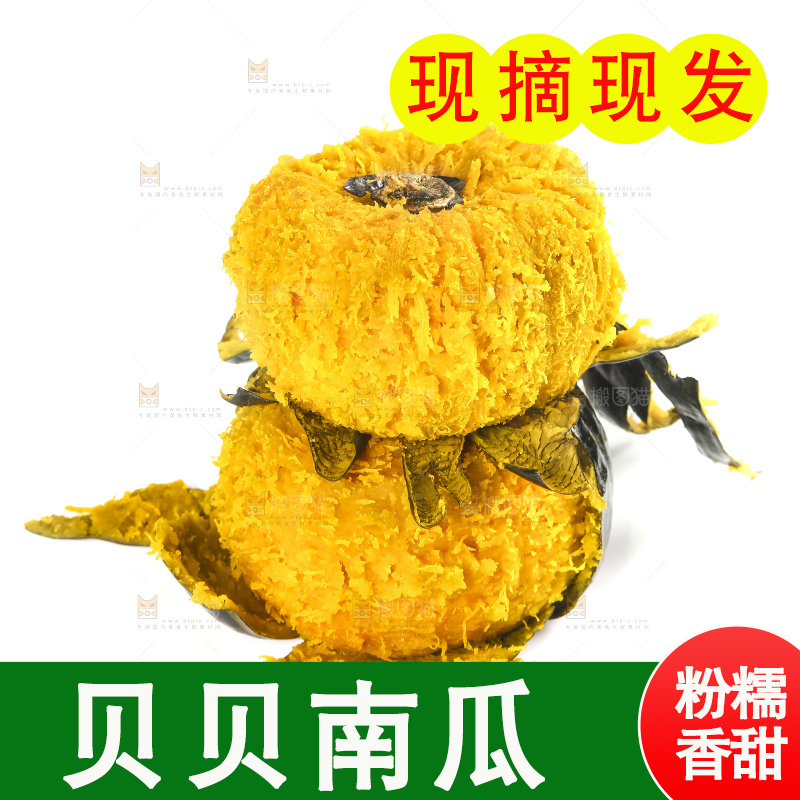 白底上的贝贝小南瓜