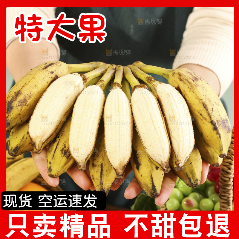 手里拿着广西芭蕉