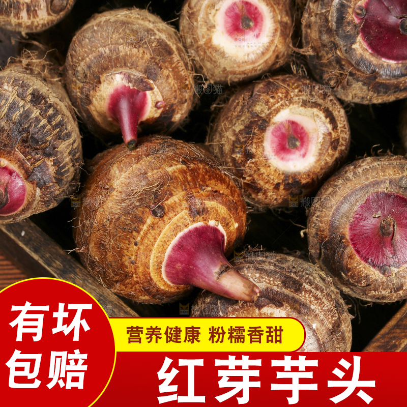 一盘广西红芽芋