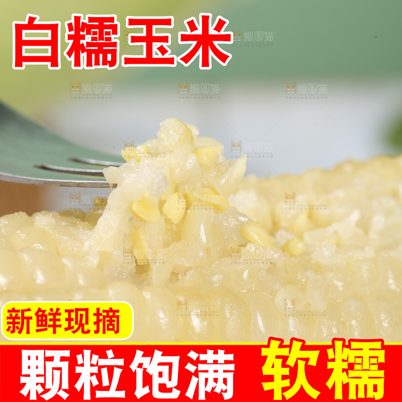 新鲜的甜糯玉米