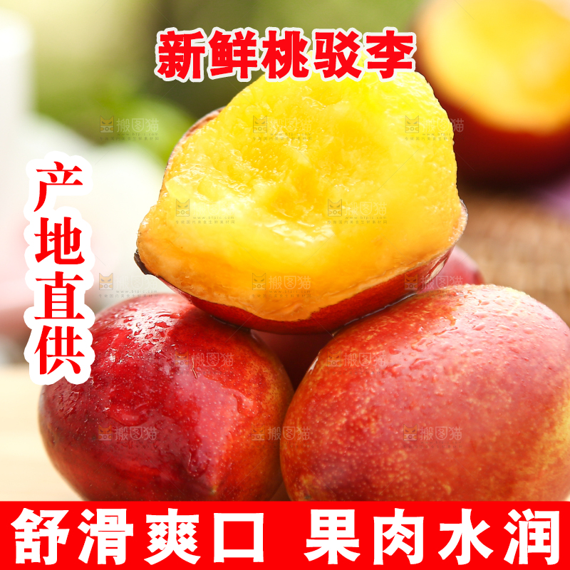 木底上的澳洲桃驳李