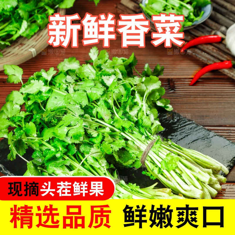 一堆四季香菜
