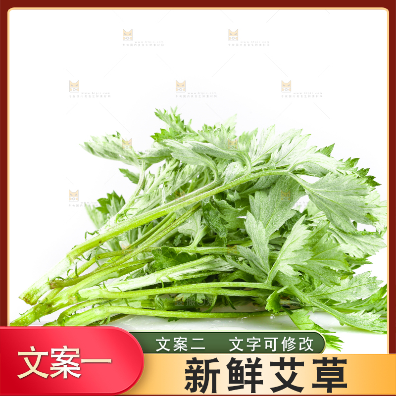 白底上放着艾草叶