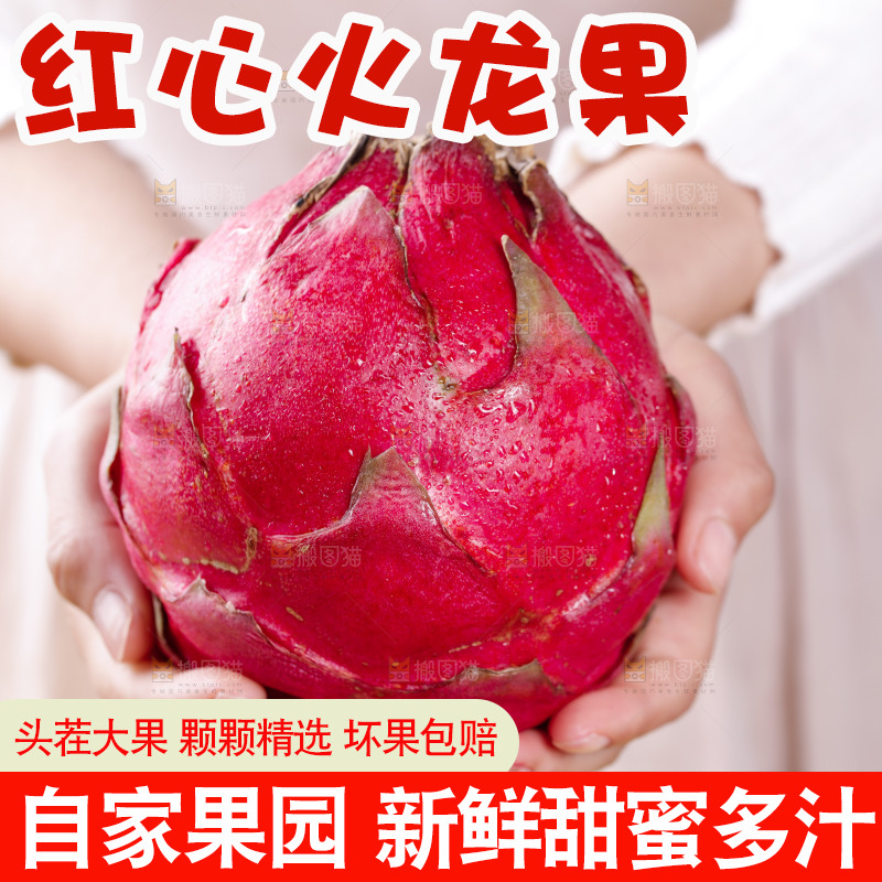 手里捧着火龙果