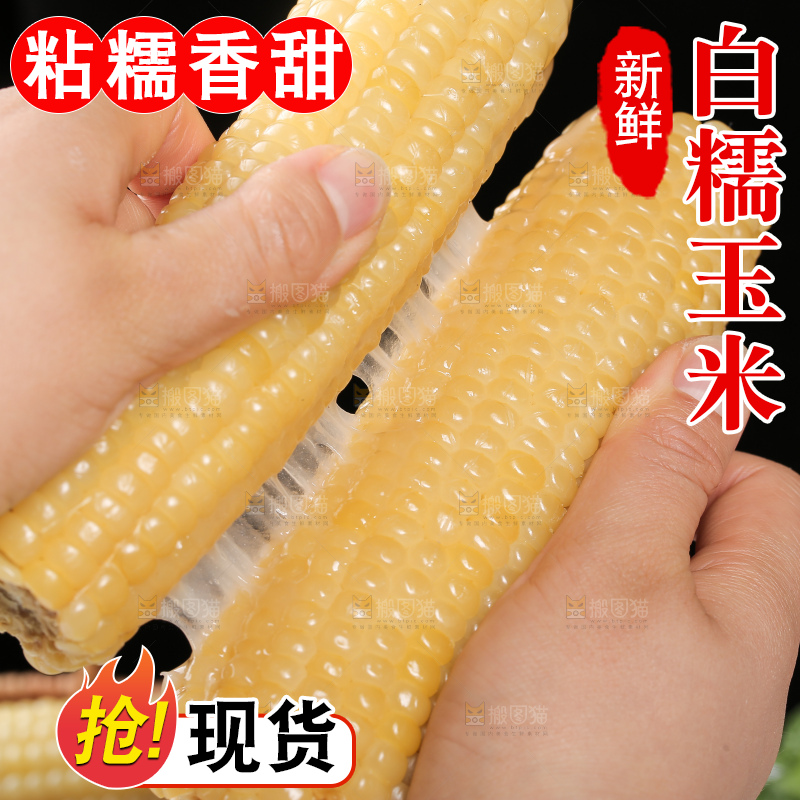 手里拿着白糯玉米