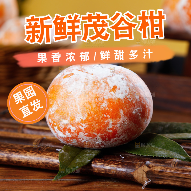 竹底上放着茂谷柑