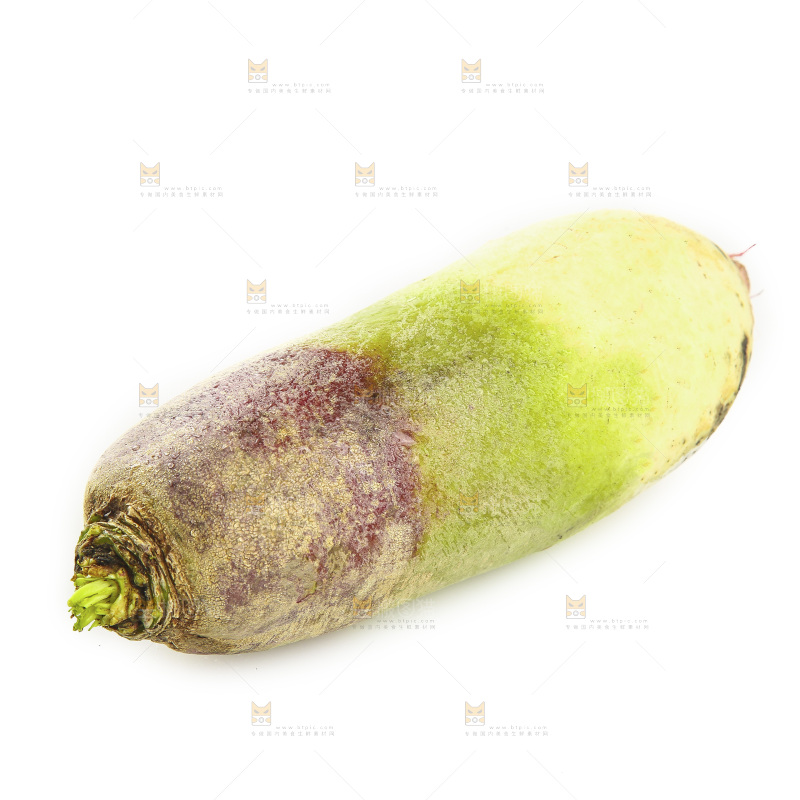 白底上的冰激凌糖心萝卜