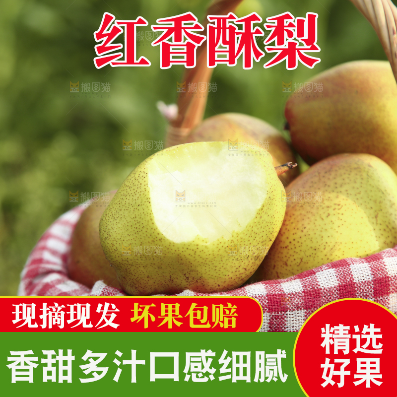 一篮新鲜红香酥梨