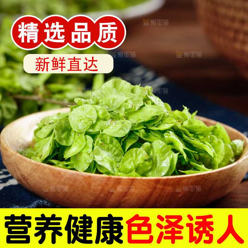 一盘榆钱